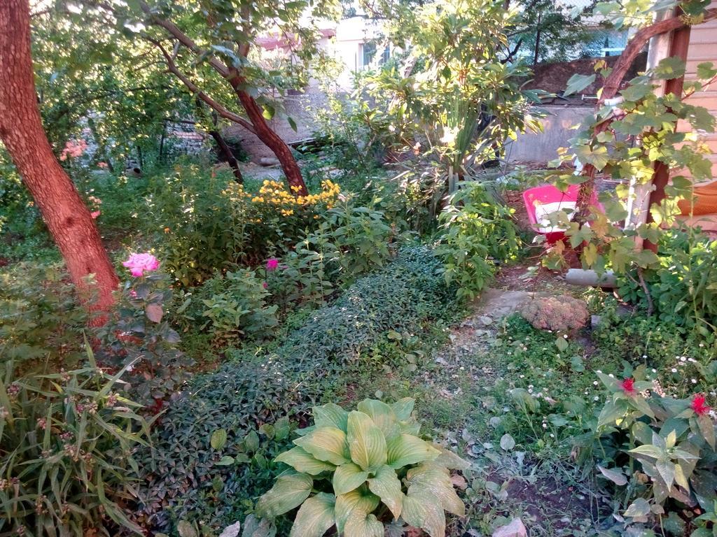 Guest House Chirina Sighnaghi Zewnętrze zdjęcie